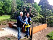 Opvallend kunstwerk in Gramsbergen verklaart historisch dorpsverhaal