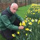 De Keukenhof werd een vreedzaam 'Schiphol twee'