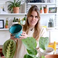 Plant verpotten: hoe doe je dat eigenlijk?