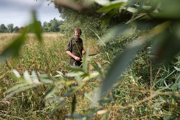 John Sips, beheerder van onder meer hoge zandgronden tussen Breda en Chaam.