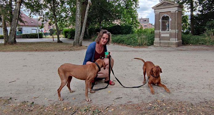 Griet Vancraeyveldt met haar honden in park De Blauwe Poort