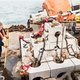 Op een vierkante kilometer Noordzee helpen onderzoekers het zeeleven een handje