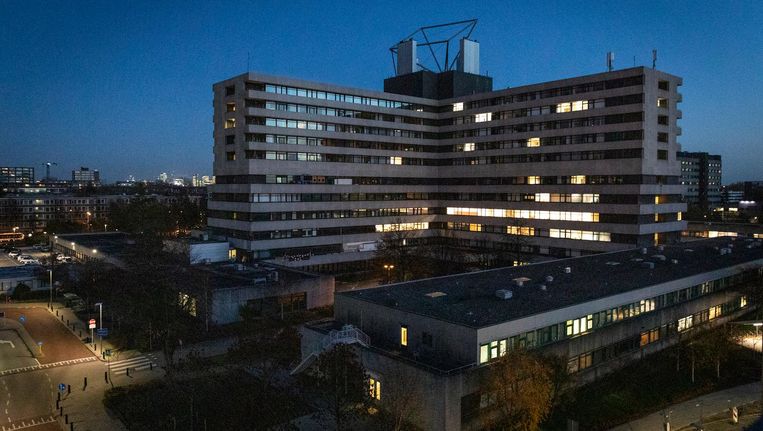 null Beeld Dingena Mol