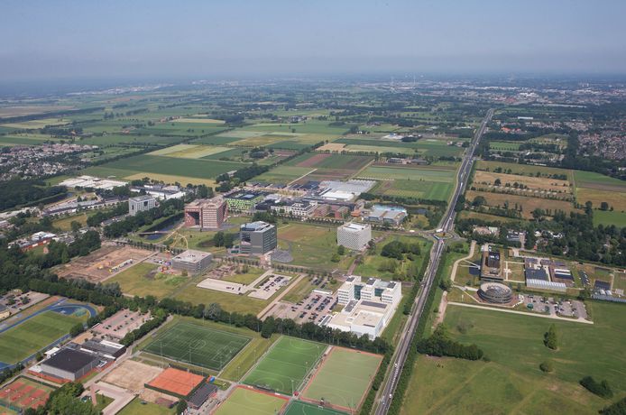 Ook langs de Mansholtlaan bij de Wageningen Campus is natuur te vinden