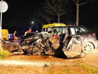 Auto knalt tegen boom in Ulicoten: automobilist raakt zwaargewond, na ruim halfuur uit wrak bevrijd