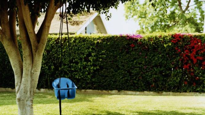 Je tuin omheinen: dit zijn de regels