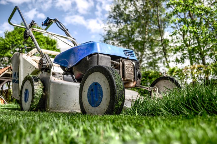Melodramatisch stel voor botsing Tijd om je grasmat te verzorgen: dit zijn de beste grasmaaiers voor jouw  gazon | Multimedia | hln.be