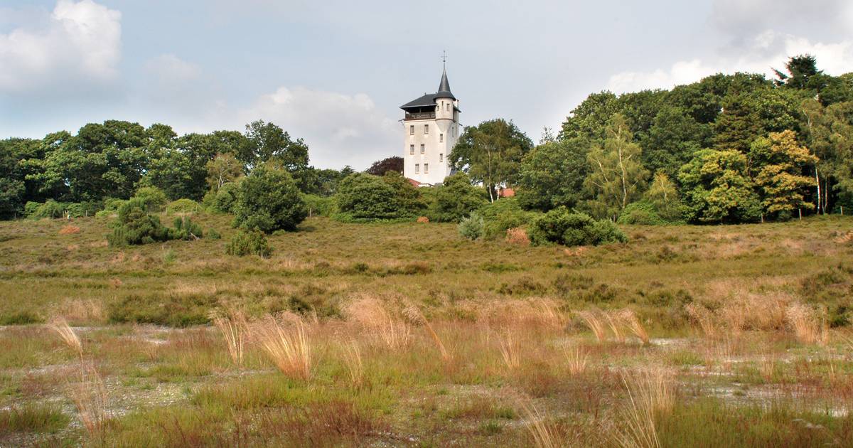 LTO vindt natuuranalyses Overijssel ‘onvolledig en te theoretisch’