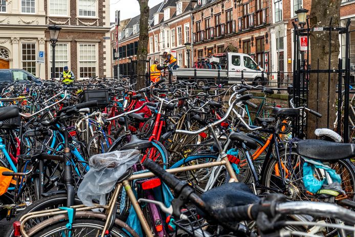 raket Diplomatieke kwesties Bij naam Utrechtse ondernemers zijn 'neergeplempte' fietsen beu: gemeente, haal ze  weg! | Utrecht | AD.nl