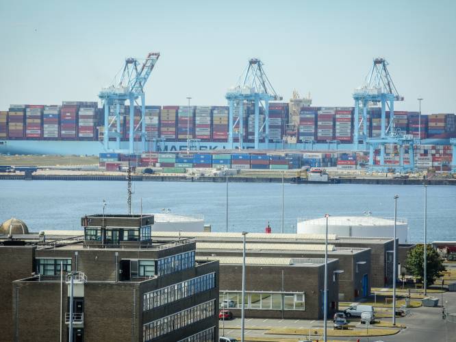 Transmigrant krijgt effectieve celstraf nadat hij blijft binnendringen in haven Zeebrugge 