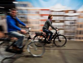 Vlaanderen wil op termijn snelwegen voor elektrische fietsen