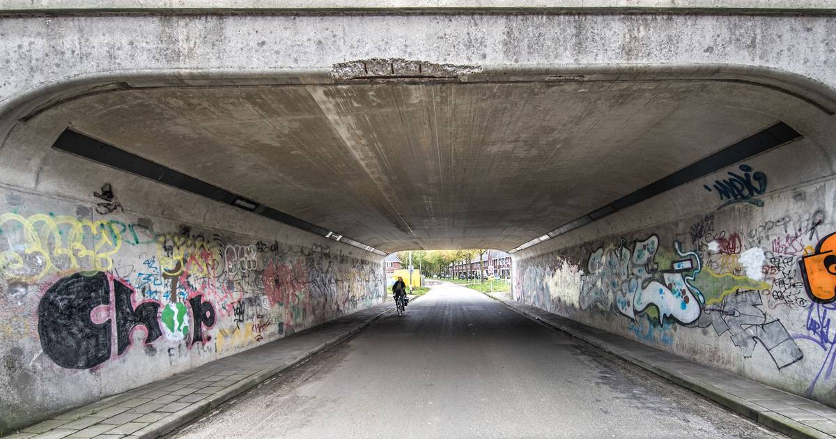 Lelijke tunnel Zwolle wordt vorstelijke entree Prinsenpoort Zwolle