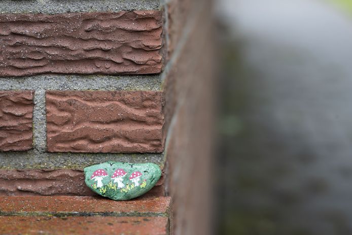 Ter illustratie. Op 25 maart kunnen in bibliotheek Zwanenveld Happy Stones geschilderd worden.