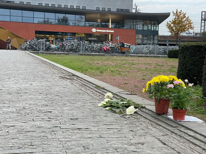 In november 2021 werden op drie dagen tijd twee vrouwen slachtoffer van een verkeersongeluk aan het  Burgemeester E. Ryckaertsplein in Berchem.