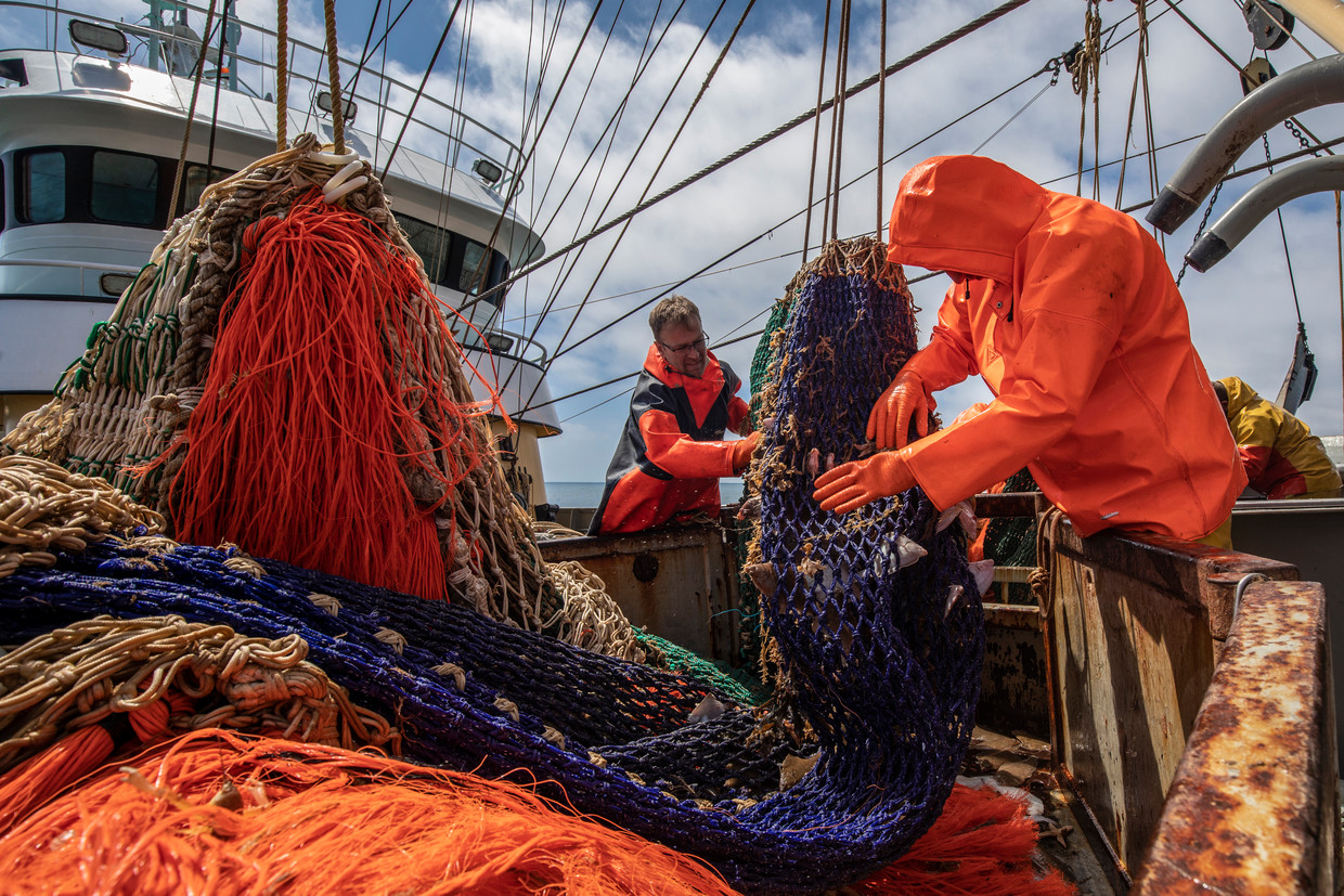 Aan boord van de Nederlandse pulskotter TX38. Beeld ANP