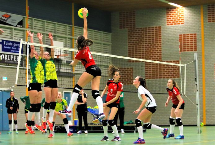 De volleyballers van Holyoke en de omnisporters van Raduga zijn veelgebruikers van sporthal De Zomp.