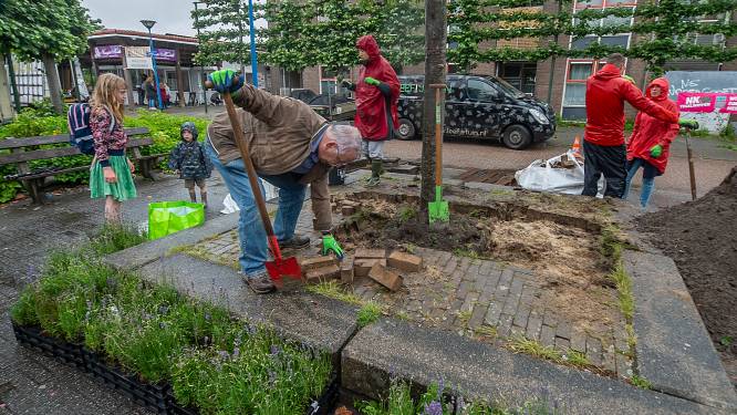 Ook op de Brabantse Wal worden volop tegels gewipt: ‘Tegen onnodige verharding’