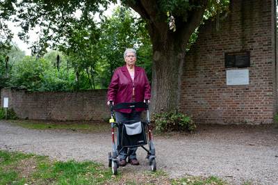 ‘Na dit wonder mag de koortsboom echt Boom van het Jaar worden’