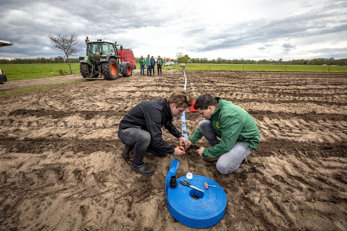 Aanleg van de druppelslang voor de irrigatie van landbouwgrond op grond van Chiel Kamphuis in Geesteren.