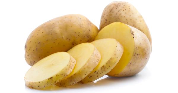 Gevolgen groei aardappelbedrijf Quik Hedel nog eens onderzocht - BD.nl