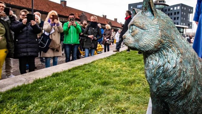 Overleden Deventer stationskat Sunny vereeuwigd in ‘hufterproof’ brons: ‘Ik mis ‘m nog elke dag’