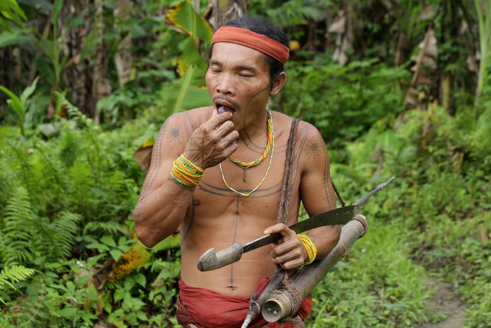 IN BEELD. Indonesische stam ontdekt Gentse neuzekes