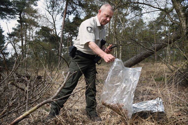 Boswachter Sjaak Smits vindt gedumpte wiet in een natuurgebied. Beeld Marcel van den Bergh
