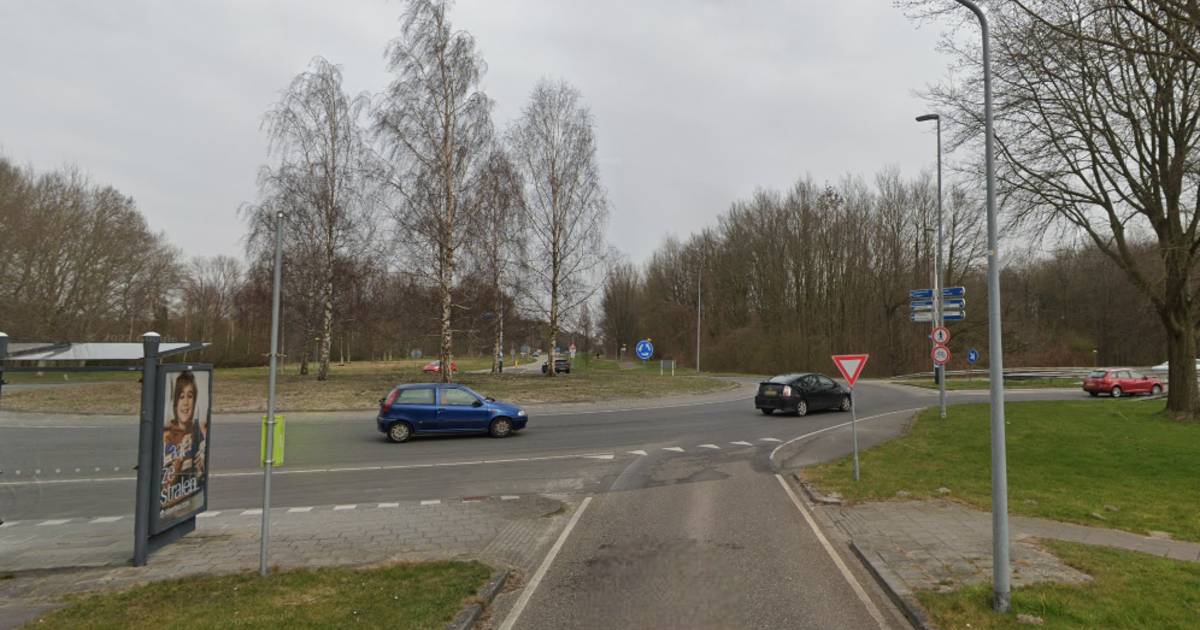 Man uit Lelystad overleden na harde botsing tegen boom in zijn woonplaats.