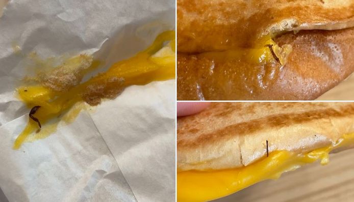 Ce client a retrouvé, dans son hamburger, ce qu'il décrit comme des pattes d'insectes.