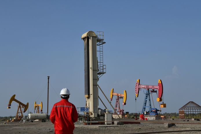 De Chinese petroleumfirma CNPC wil olie ontginnen in het oosten van Niger.