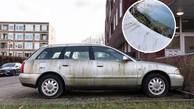 Het gras groeit inmiddels uit de motorkap: Audi staat al jarenlang weg te rotten in Amersfoort
