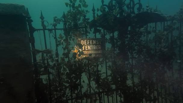 The Deep House