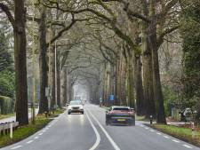 Alleen met deze voorwaarden gaat Zutphen akkoord met veelbesproken snelheidsverlaging N348