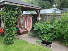 Tuinliefhebbers opgelet: op deze datum is de Open Tuindag in Eindhoven