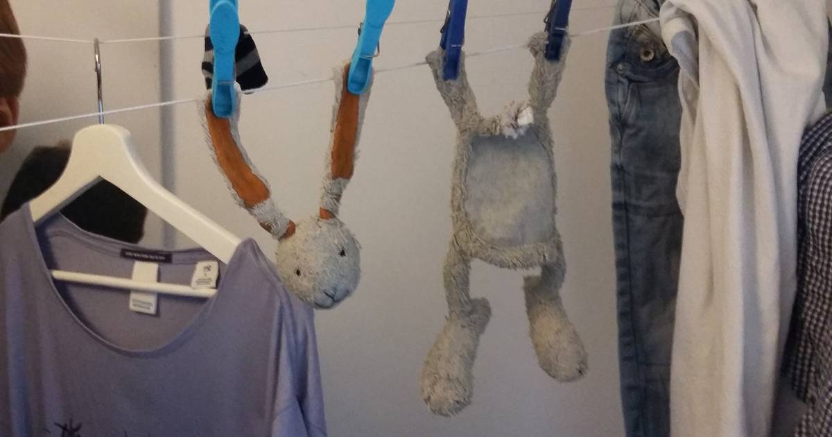 Knuffelkonijn onthoofd door container, Quinn (3) in tranen Default