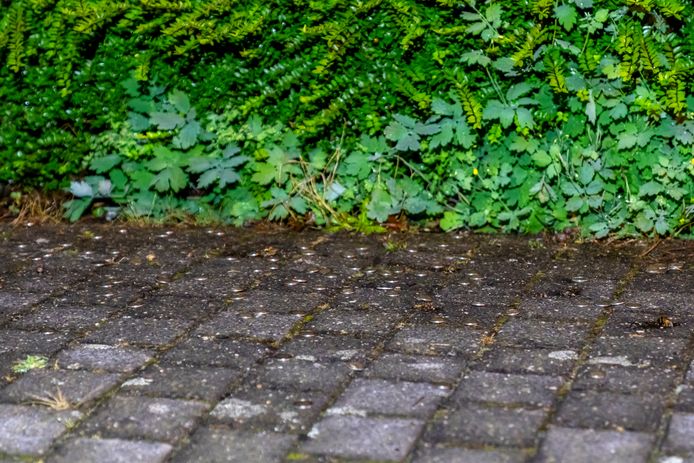 Voor het casino zijn na de overval munten op straat gevonden.