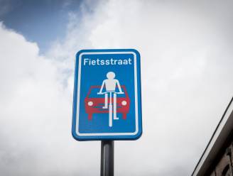 Nieuwe fietsstraat Roggeveldenstraat-Lauwrijkstraat in Schriek: “Vermindert sluipverkeer”