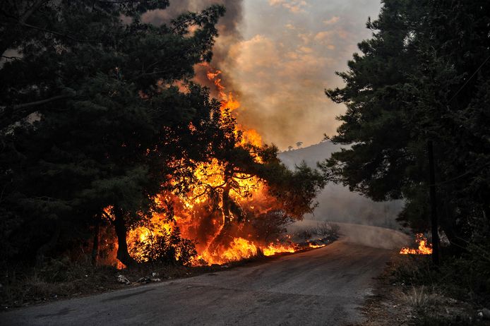Een bosbrand in de buurt van kuststad Latakia