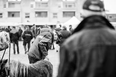 Iedereen mag meepraten, maar de paardenmarkt van Goor komt niet meer terug