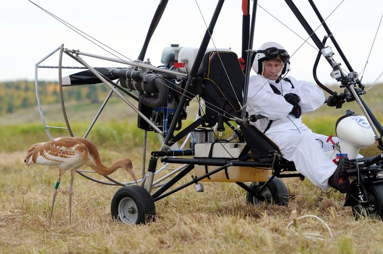 Poetin in een deltavlieger in september 2012 in Siberië. Beeld EPA