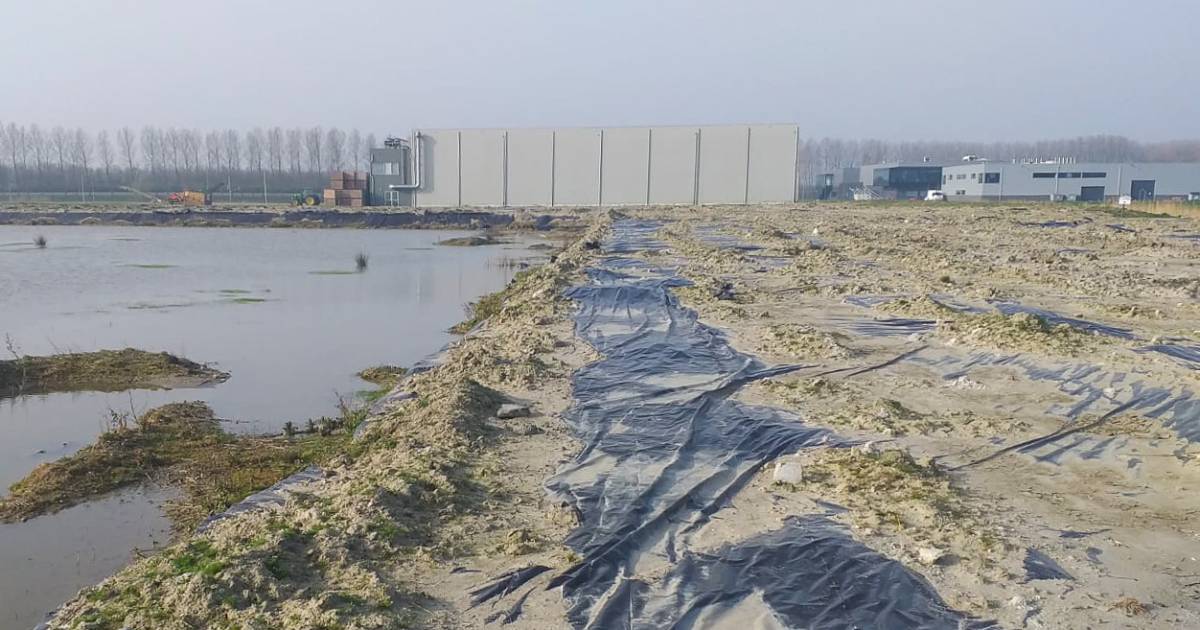 Grote weerstand tegen komst van composteerfabriek in Oude-Tonge: ‘Die hoort op de Maasvlakte, niet h