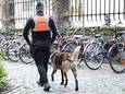 Niet enkel bestuurders kunnen zich aan een controle verwachten; jongeren die op een bank zaten in het park werden eveneens gecontroleerd.