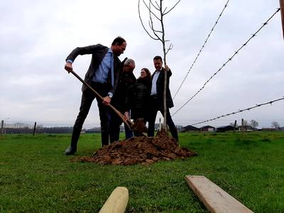 Stormloop op gratis bomen in Montferland: ‘Meer animo dan gedacht’