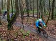 Mountainbikers op de speciale mtb-route in de bossen van het Rijk van Nijmegen.