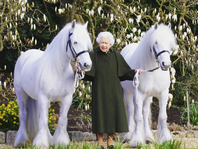 96 kaarsjes vandaag: Queen Elizabeth poseert met paarden op officieel verjaardagsportret