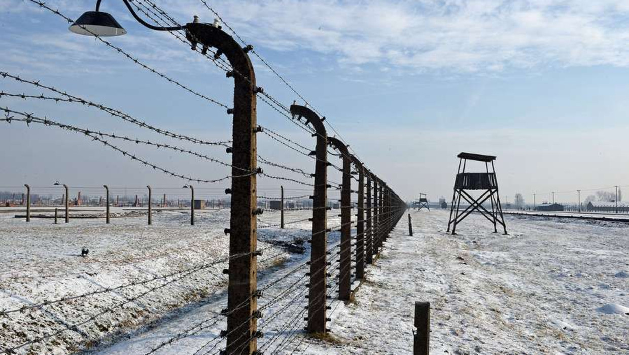 Auschwitz. Beeld afp