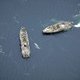 Defensie: 'Mysterieuze onderzeeboot bij Zweden is niet van ons'