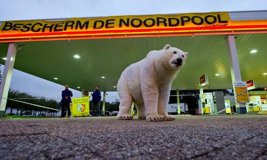 Greenpeace protesteert tegen Shell volgens hen één van de schuldigen van de klimaatveranderingen en daarmee het uitsterven van de ijsbeer.