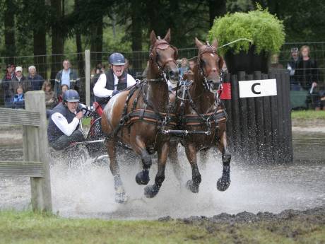 Paardensportliefhebbers opgelet! Het WK tweespannen komt naar Beekbergen ‘Dit is supergaaf’