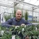 Het kan: planten inzetten voor milieuvriendelijke winning van nikkel
